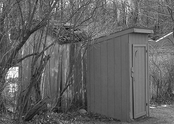 Privy, Outhouse, Dooley