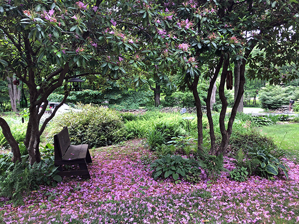 Flo and Terry Goodman's gardens